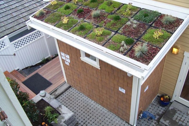 Методы озеленения