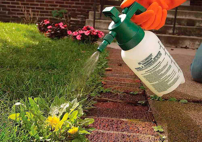 Защита растений в саду и огороде - современные средства и их преимущества 01 Защита растений в саду и огороде - современные средства и их преимущества 01