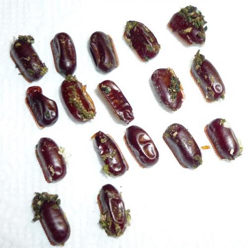 Яйца тараканов, как уничтожить. Как обнаружить яйца тараканов в квартире