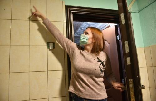 Как тараканы размножаются. Как размножаются тараканы? 18