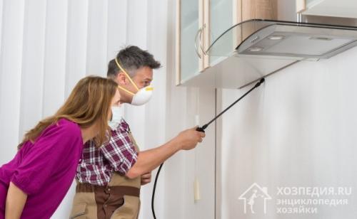 Как избавиться от тараканов. Специальная химия и другие средства борьбы