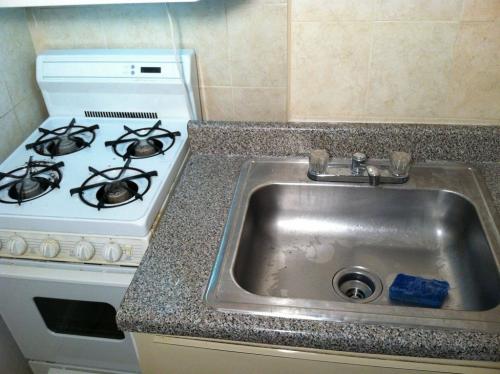 Яйца тараканов, как уничтожить. Как обнаружить яйца тараканов в квартире