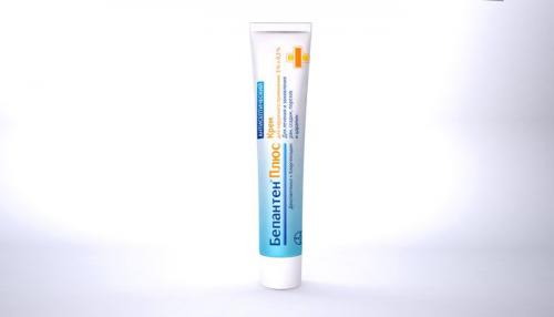 Чем мазать укусы клопов в домашних условиях. Чем мазать укусы клопов на теле человека: 2 вида лечения