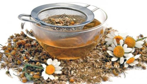 Чем мазать укусы клопов в домашних условиях. Чем мазать укусы клопов на теле человека: 2 вида лечения