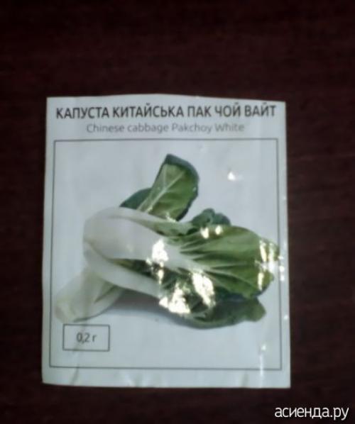 Можно ли замораживать японскую капусту. Моя капуста иностранка