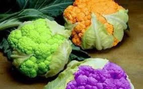 Капуста брокколи и цветная. Чем отличается:: брокколи и цветная капуста 01 Капуста брокколи и цветная. Чем отличается:: брокколи и цветная капуста 01