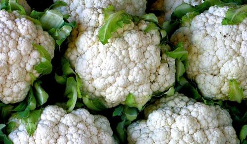 Что вкуснее брокколи или цветная капуста. Знакомимся с родственниками огородной капусты