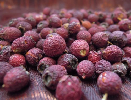 Плоды боярышника, как сушить. Польза и вред сухого боярышника 03