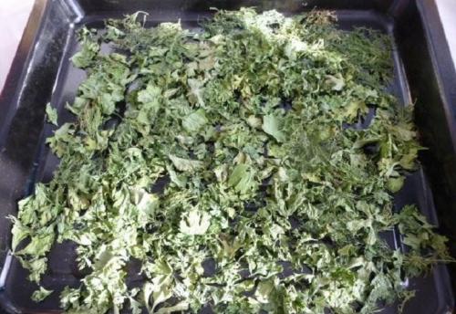 Как заморозить петрушку в домашних условиях. Способы заготовки петрушки на зиму