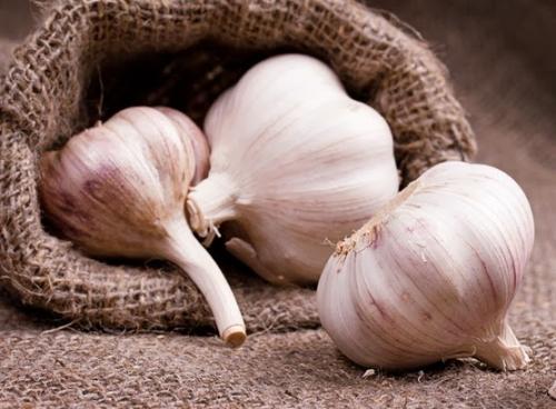 Чеснок энергетика. Энергоинформационное воздействие чеснока