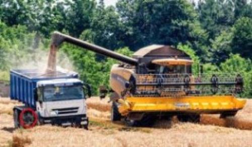 Что делают люди осенью в доме саду и огороде. Что делают люди осенью.