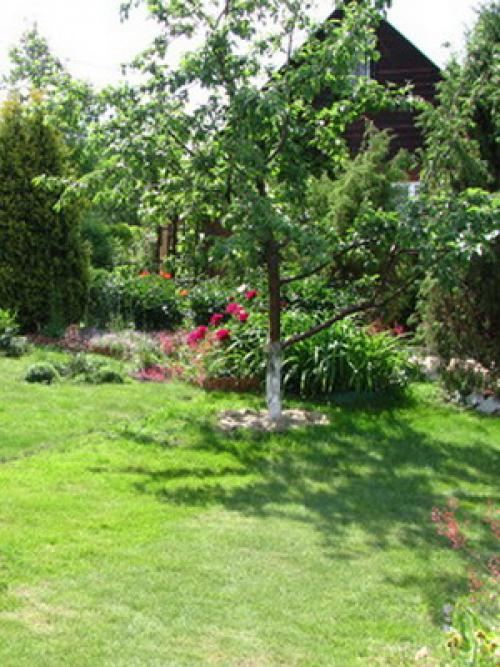 Декоративное садоводство и ландшафтный дизайн, что это. Как сделать декоративный сад своими руками