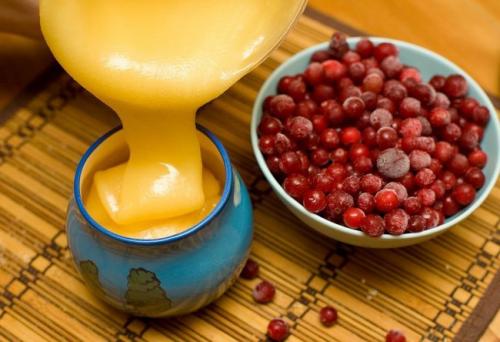 Как приготовить ягоды лимонника с медом. Как приготовить ягоды лимонника