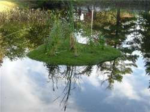 Ландшафтный дизайн для начинающих. Ландшафтный дизайн: советы для новичков.