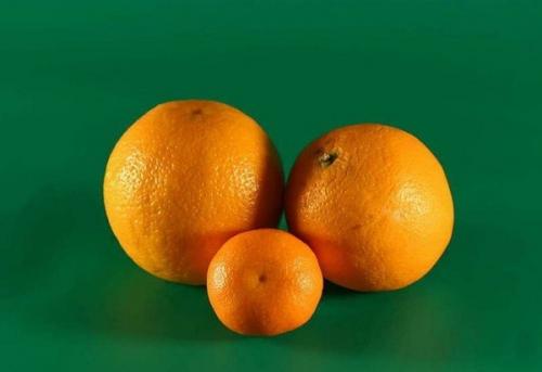 На чем растут апельсины и мандарины. Битва фруктов — полезность апельсина и мандарина