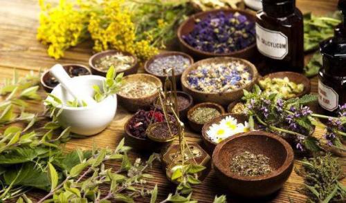 Лекарственные растения Краснодарского края. Исторические особенности