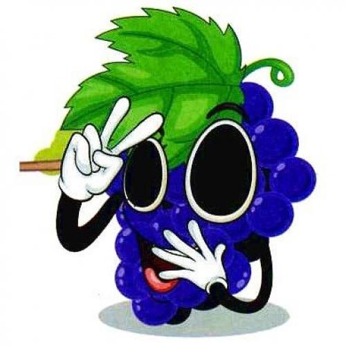 Правда что виноград первое культурное растение на земле