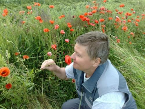 Что такое дикорастущие лекарственные растения. Дикорастущие лекарственные растения самые ценные наши растительные помощники