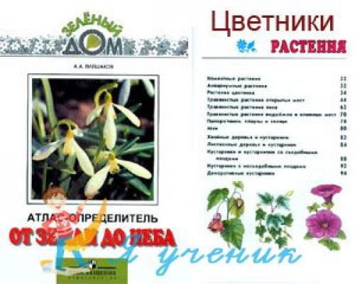 Атлас определитель комнатные растения. Атлас определитель "От земли до неба". Растения цветника