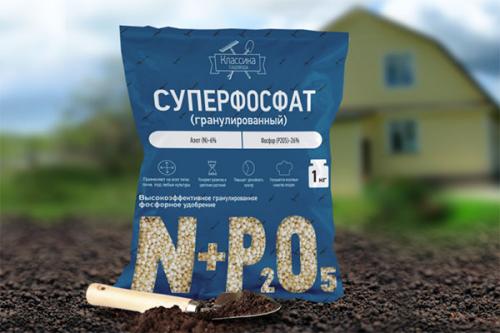 Как сохранить калибрахоа зимой дома. Особенности выращивания в домашних условиях