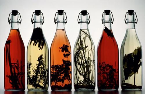 Что такое пассифлора. Пассифлора: от чего помогает и что лечит, как использовать в народной медицине