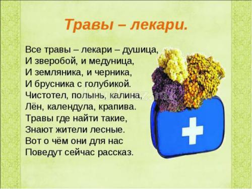 Беседа, что такое лекарственные растения цель. Беседа с детьми подготовительной группы о лекарственных растениях
