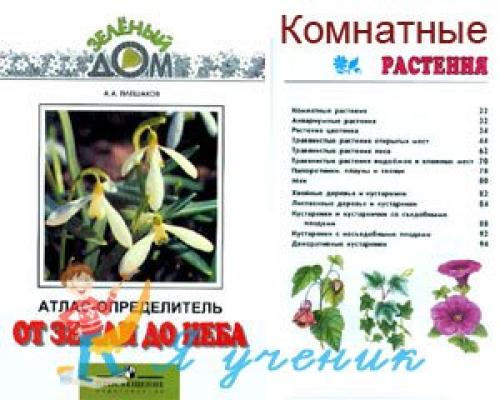Как с помощью атласа-определителя узнать название комнатных растений. Атлас определитель "От земли до неба". Комнатные и аквариумные растения