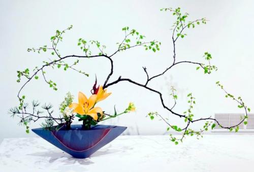 Флористика и ландшафтный дизайн, что это такое. Флористика — красота и гармония