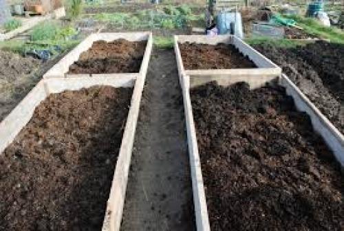 Как определить качество навоза. Виды свиного навоза