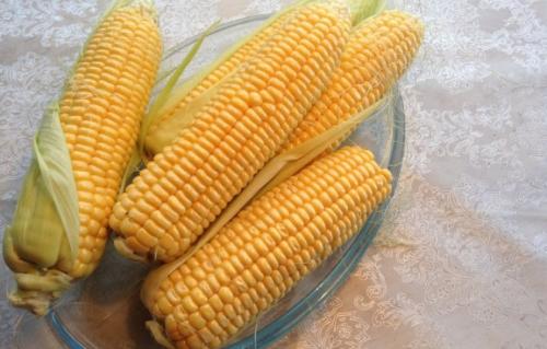 Лучшие сорта кукурузы сахарной для черноземья. Самые сладкие сорта и гибриды сахарной кукурузы для выращивания из семян