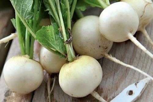 Репа, каким цветом. Белая ночь