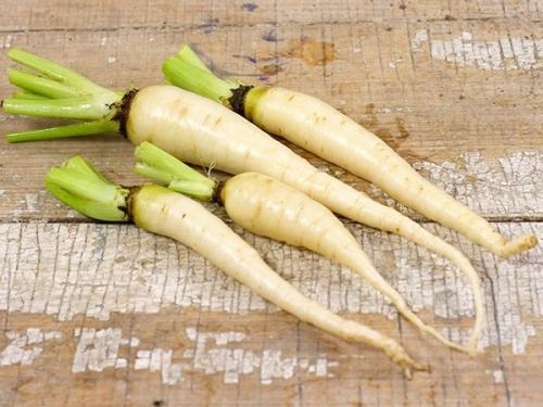 Цветная морковь. Морковь цветастая, удивлять гораздая