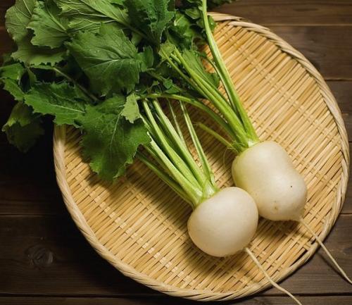 Репка, какой цвет. Обзор сортов репы