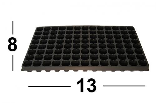 Хризантема крупноцветковая каталог. Хризантема