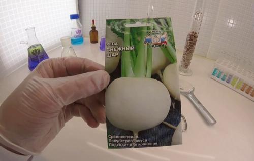 Репка, какой цвет. Обзор сортов репы