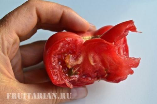 Вред пасленовых миф. Помидоры не вредны!