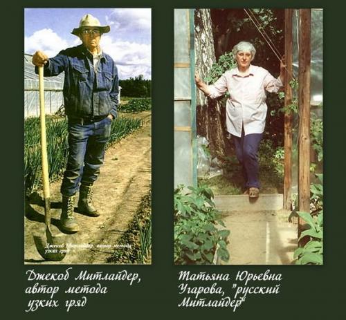 Земледелие по Митлайдеру. Как возник метод Митлайдера и в чем состоит его идея