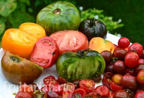 Вред пасленовых миф. Помидоры не вредны!