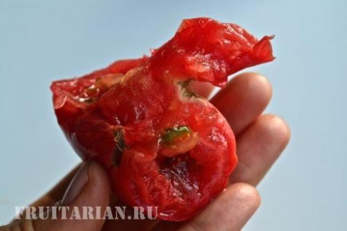 Вред пасленовых миф. Помидоры не вредны!