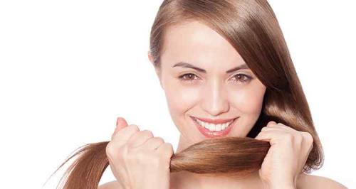 Концентрат сафлора вред. Сафлор: лечебные свойства и противопоказания, польза и вред