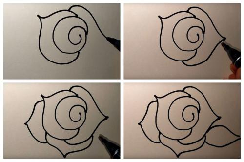 Роза рисунок. Рисуем розу быстро