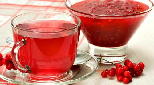 Лимонник китайский рецепты приготовления настоек. Рецепты приготовления настоек