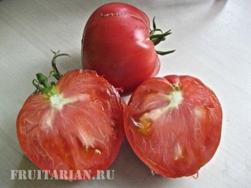 Вред пасленовых миф. Помидоры не вредны!