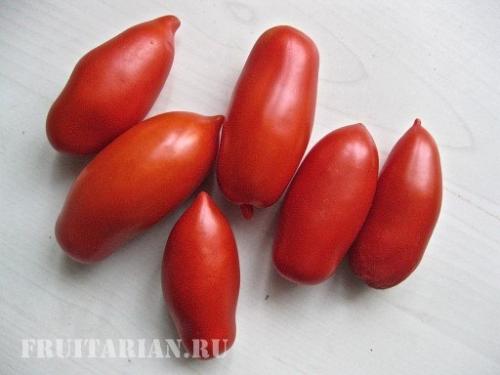 Вред пасленовых миф. Помидоры не вредны!