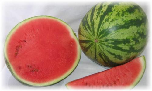 Сорт арбуза поздний. Ранние виды бахчи