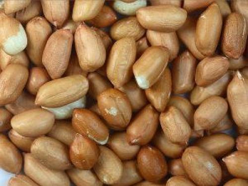 Арахис чем полезен. Арахис: польза, вред и нормы при ежедневном употреблении