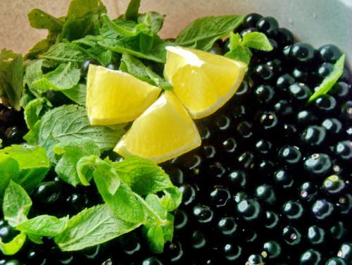 Рецепт вина из санберри. 