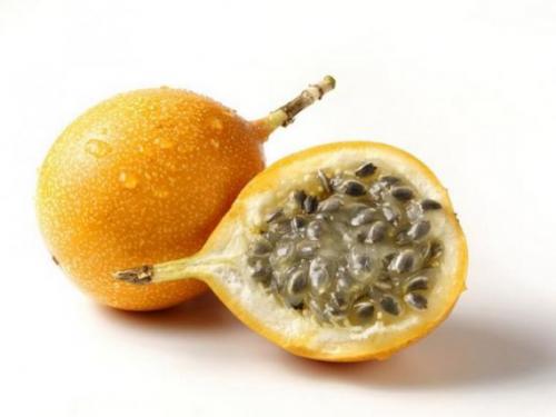 Страстоцвет пассифлора лечебные свойства. Пассифлора: от чего помогает и что лечит, как использовать в народной медицине