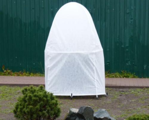 Мульчирование туи на зиму. Подготовка туи к зиме — укрытие и правильный уход