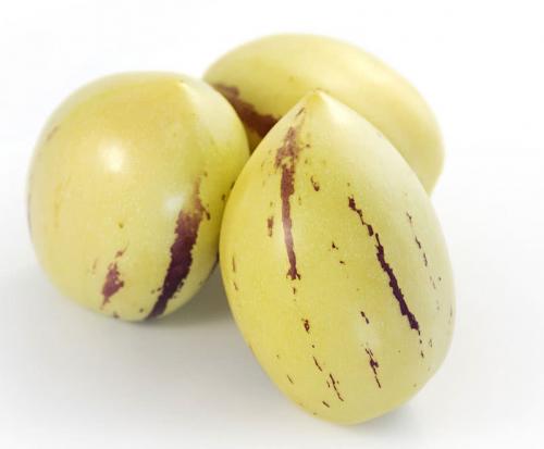 Ядовитые растения семейства пасленовых. Растения семейства пасленовых